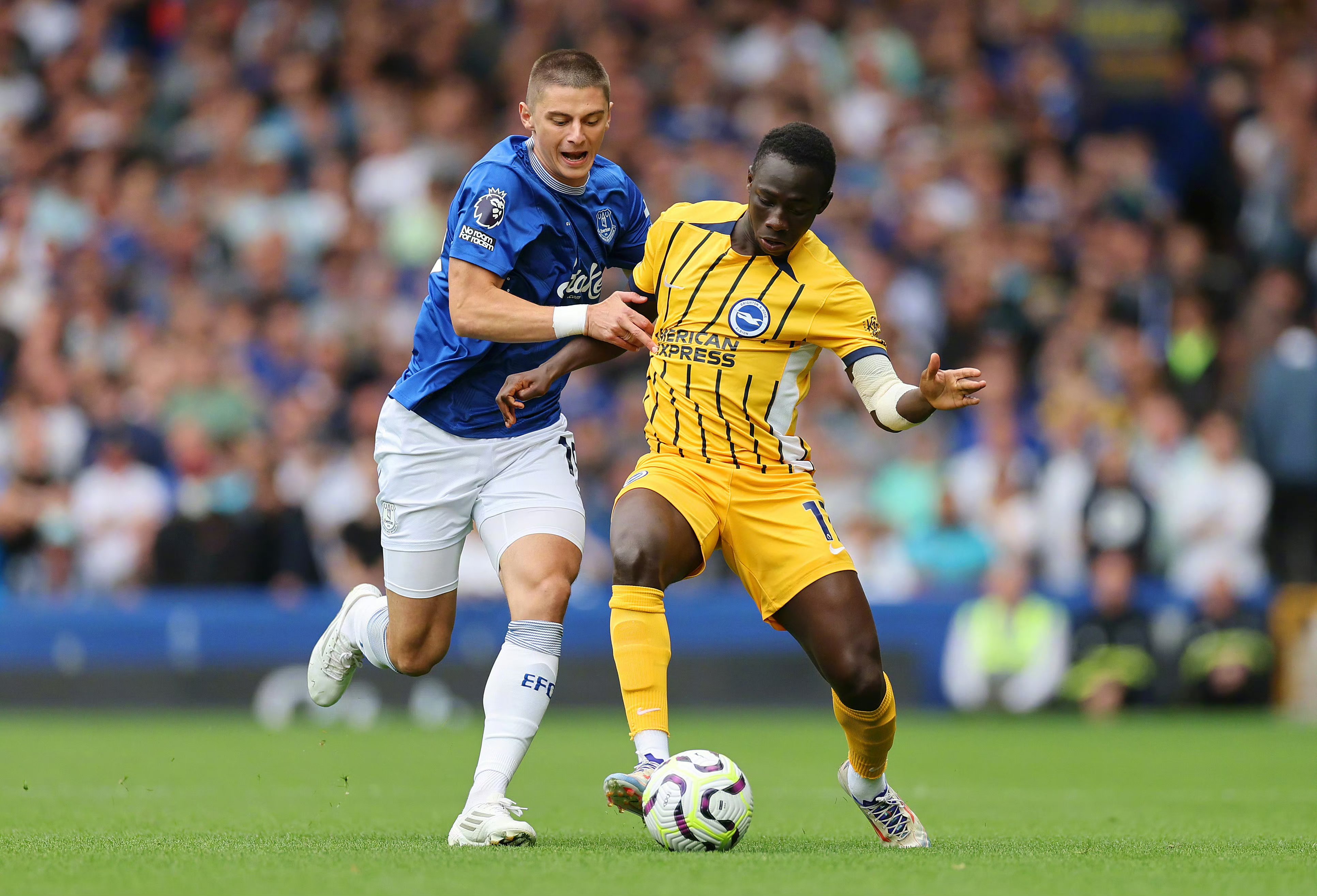 九游体育直播-布莱顿势不可挡，创造英超奇迹的简单介绍